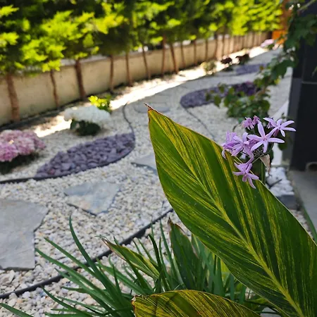 Roza Private Pool Entrance *